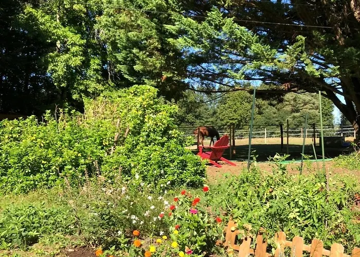 Le Mas Brantome Oda ve Kahvaltı 4*