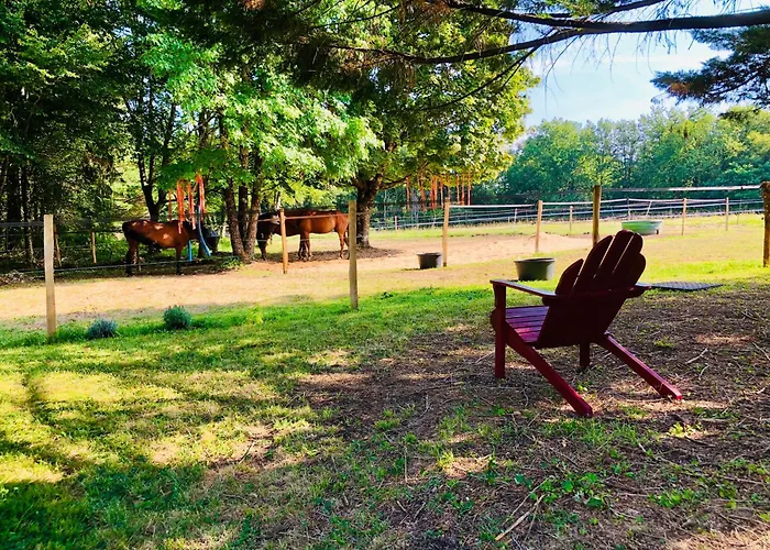 Panzió Le Mas Brantome