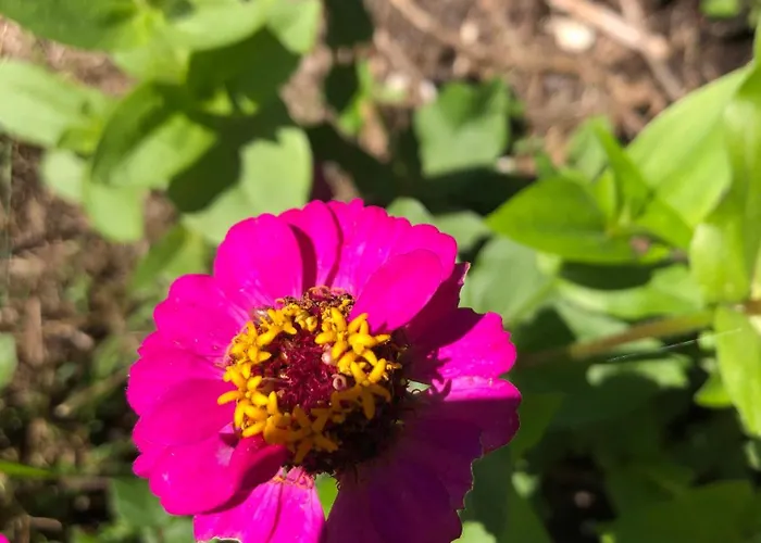 Le Mas Brantome Panzió